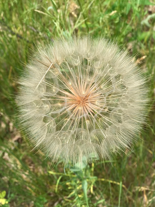villanova-monteleone-identita-e-sostenibilita